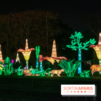 Jungle en voie d'illumination Jardin des Plantes