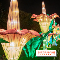 Jungle en voie d'illumination Jardin des Plantes