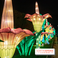 Jungle en voie d'illumination Jardin des Plantes
