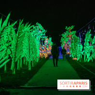 Jungle en voie d'illumination Jardin des Plantes