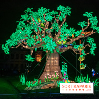 Jungle en voie d'illumination Jardin des Plantes