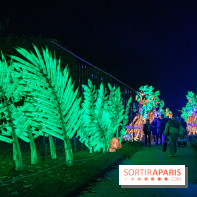 Jungle en voie d'illumination Jardin des Plantes
