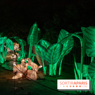 Jungle en voie d'illumination Jardin des Plantes