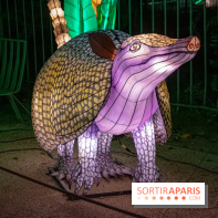 Jungle en voie d'illumination Jardin des Plantes