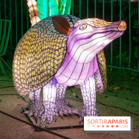 Jungle en voie d'illumination Jardin des Plantes