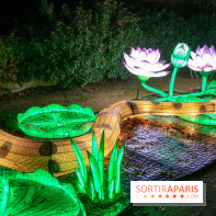 Jungle en voie d'illumination Jardin des Plantes