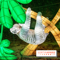 Jungle en voie d'illumination Jardin des Plantes