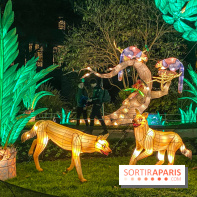 Jungle en voie d'illumination Jardin des Plantes