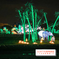 Jungle en voie d'illumination Jardin des Plantes