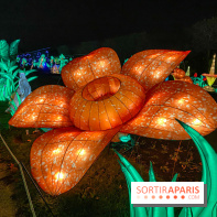 Jungle en voie d'illumination Jardin des Plantes