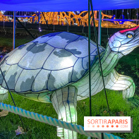 Jungle en voie d'illumination Jardin des Plantes