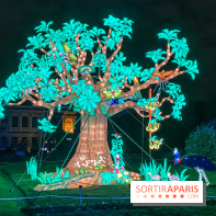 Jungle en voie d'illumination Jardin des Plantes