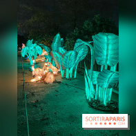 Jungle en voie d'illumination Jardin des Plantes