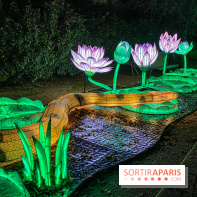 Jungle en voie d'illumination Jardin des Plantes