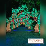 Jungle en voie d'illumination Jardin des Plantes