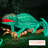 Jungle en voie d'illumination Jardin des Plantes