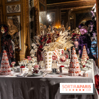 Le Grand Noël au Château de Vaux le Vicomte 2023 - photo -  A7C8335