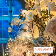 Le Grand Noël au Château de Vaux le Vicomte 2023 - photo -  A7C8294