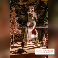 Le Grand Noël au Château de Vaux le Vicomte 2023 - photo -  A7C8266