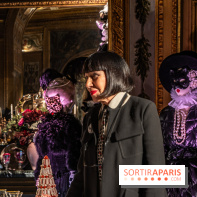 Le Grand Noël au Château de Vaux le Vicomte 2023 - photo -  A7C8333