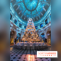 Le Grand Noël au Château de Vaux le Vicomte 2023 - photo -  A7C8284