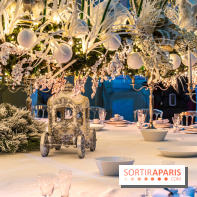 Le Grand Noël au Château de Vaux le Vicomte 2023 - photo -  A7C8292