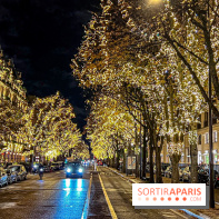 Les illuminations de Noël 2023 de l'Avenue Montaigne - cérémonie et décors féériques
