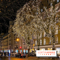 Les illuminations de Noël 2023 de l'Avenue Montaigne - cérémonie et décors féériques