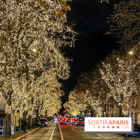 Les illuminations de Noël 2023 de l'Avenue Montaigne - cérémonie et décors féériques - image00066