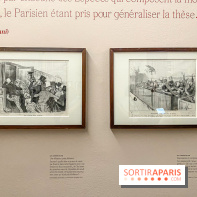 Exposition