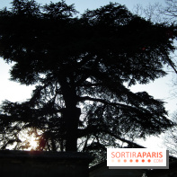Le Père Lachaise, le cimetière le plus mythique de Paris et ses tombes de personnalités célèbres