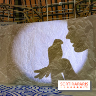 Spectacle d'ombres au Printemps Haussmann - IMG 4367 jpg