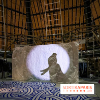 Spectacle d'ombres au Printemps Haussmann - IMG 4369 jpg