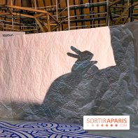 Spectacle d'ombres au Printemps Haussmann - IMG 4411 jpg