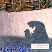 Spectacle d'ombres au Printemps Haussmann - IMG 4465 jpg