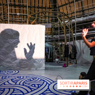 Spectacle d'ombres au Printemps Haussmann - IMG 4483 jpg