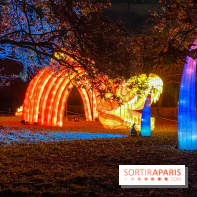 Odyssée Lumineuse, le festival des lumières au Parc Floral - IMG 2361