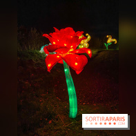 Odyssée Lumineuse, le festival des lumières au Parc Floral
