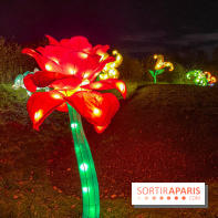 Odyssée Lumineuse, le festival des lumières au Parc Floral - IMG 2363