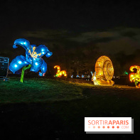 Odyssée Lumineuse, le festival des lumières au Parc Floral - IMG 2364