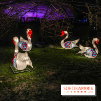 Odyssée Lumineuse, le festival des lumières au Parc Floral