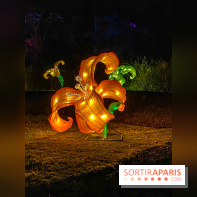 Odyssée Lumineuse, le festival des lumières au Parc Floral - IMG 2369