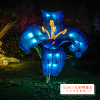 Odyssée Lumineuse, le festival des lumières au Parc Floral - IMG 2373