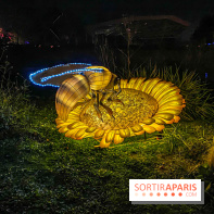 Odyssée Lumineuse, le festival des lumières au Parc Floral - IMG 2377