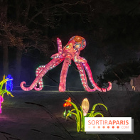 Odyssée Lumineuse, le festival des lumières au Parc Floral