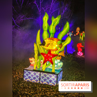 Odyssée Lumineuse, le festival des lumières au Parc Floral - IMG 2385