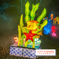 Odyssée Lumineuse, le festival des lumières au Parc Floral - IMG 2386