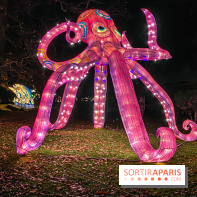 Odyssée Lumineuse, le festival des lumières au Parc Floral - IMG 2394