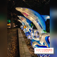 Odyssée Lumineuse, le festival des lumières au Parc Floral - IMG 2397