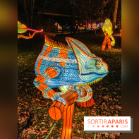 Odyssée Lumineuse, le festival des lumières au Parc Floral - IMG 2402